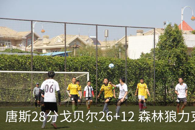 唐斯28分戈贝尔26+12 森林狼力克黄蜂4连胜